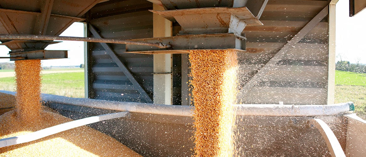 Grain handling exposes workers to engulfment, dangerous atmospheres, and moving machinery