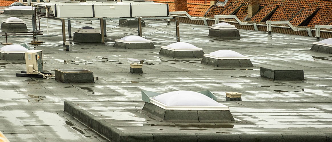 Skylights on the roof of a large building