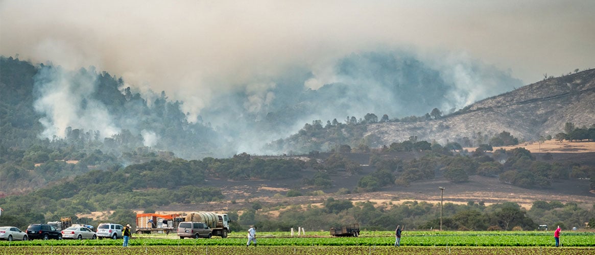 Agriculture workers in the field as smoke from a nearby wildfire fills the air.