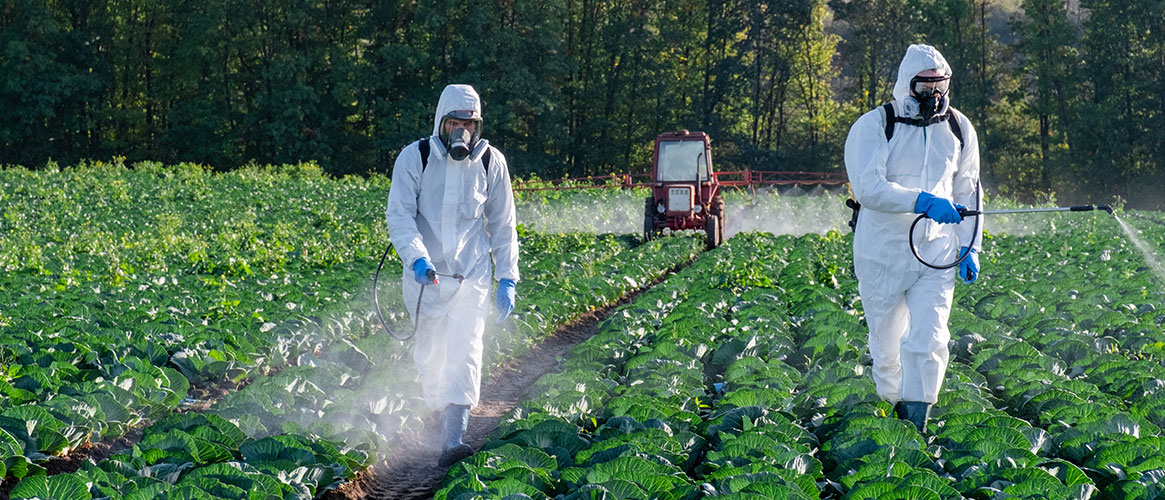 Ag workers spraying pesticides in a field, wearing PPE